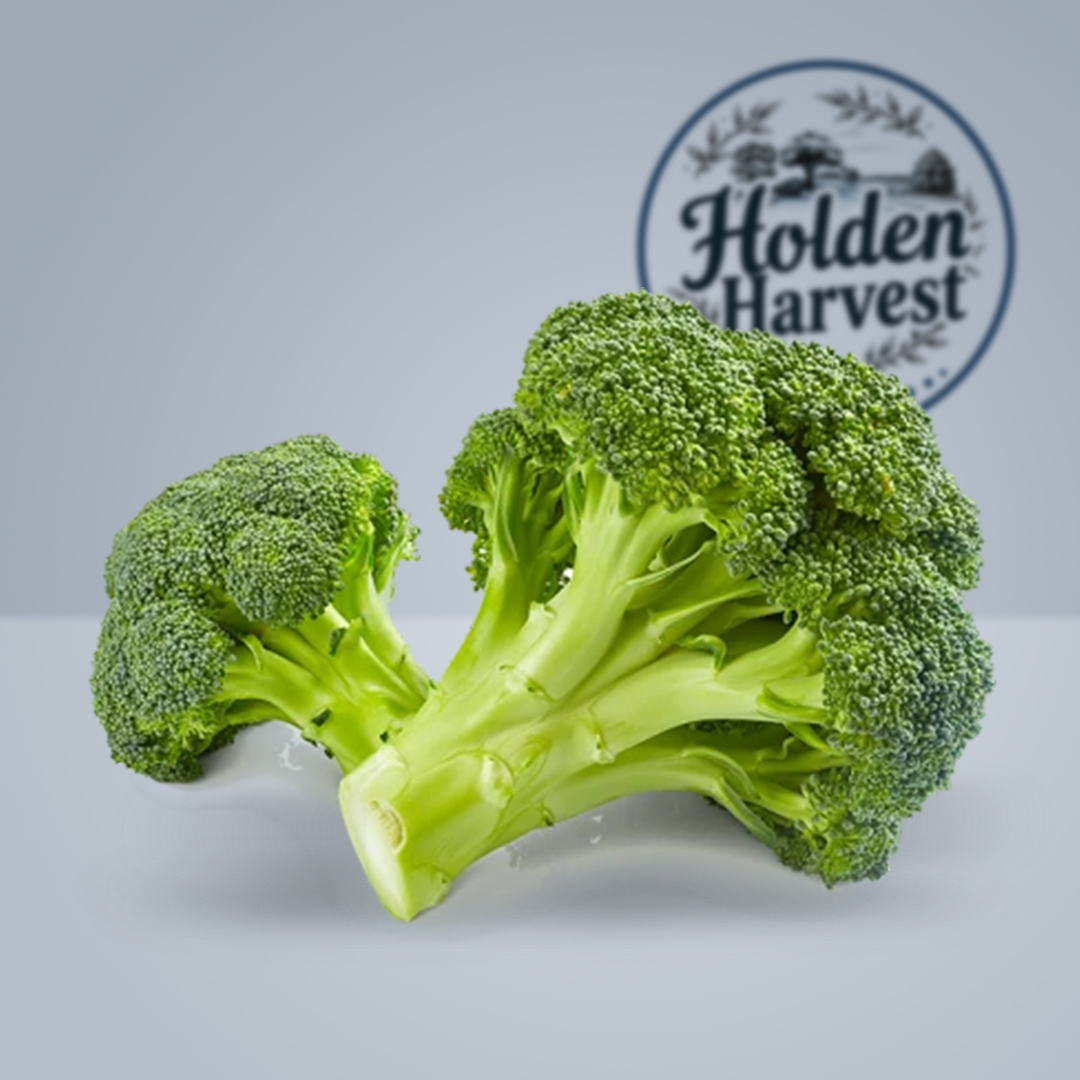 Broccoli 1